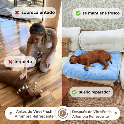 ViresFresh™ Descanso Fresco
