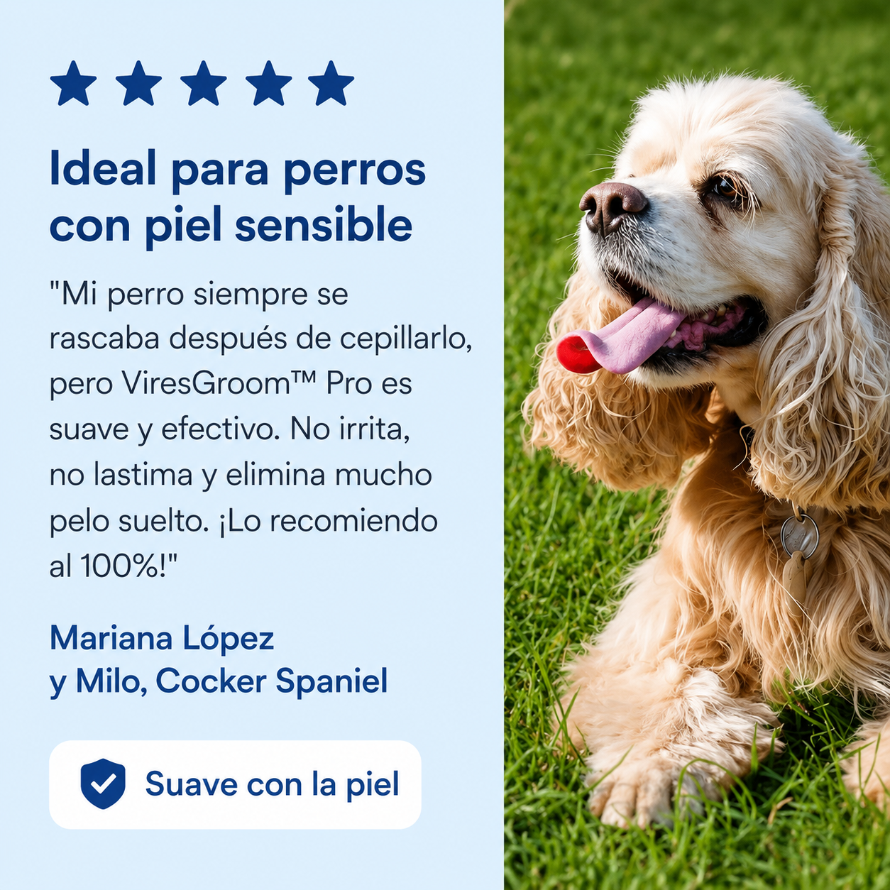 ViresGroom™ Pro - Elimina el pelo muerto donde otros no llegan.