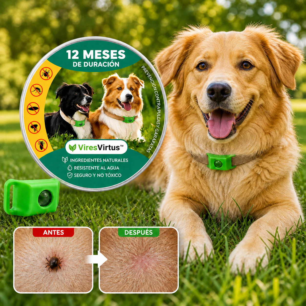 PetShield - 12 meses libre de pulgas y garrapatas