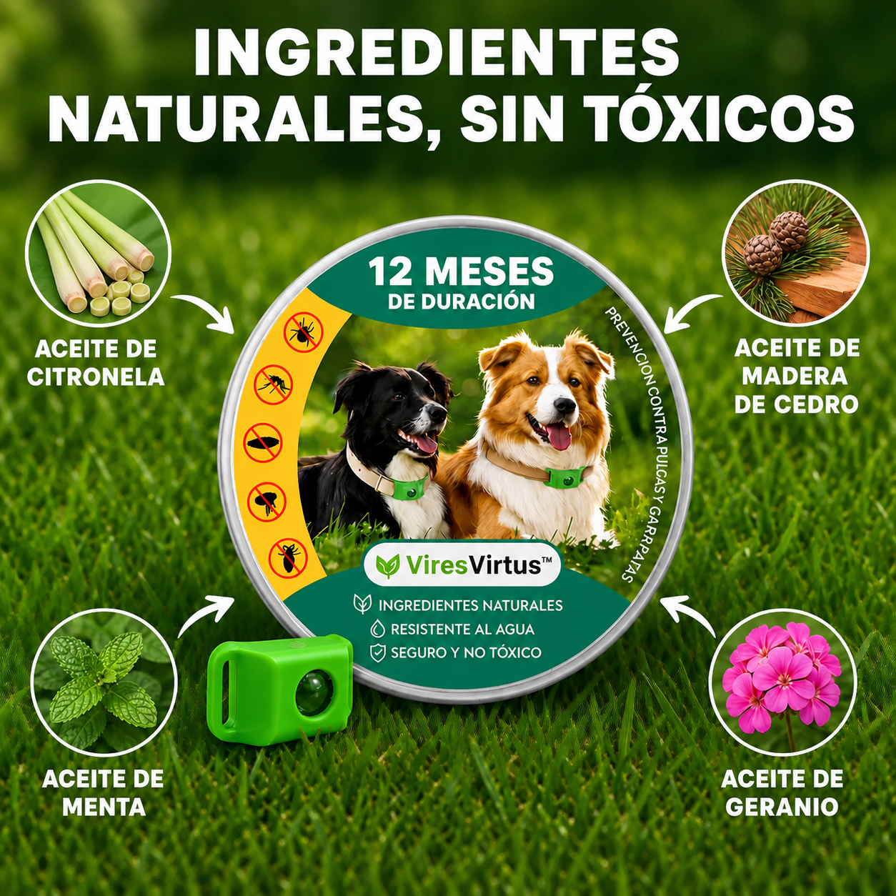 PetShield - 12 meses libre de pulgas y garrapatas
