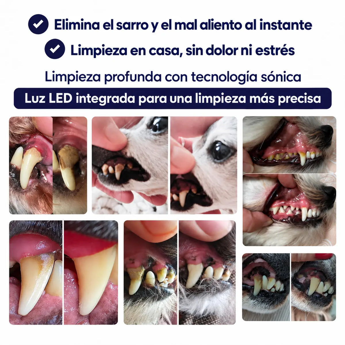 ViresClean™ - Elimina el sarro endurecido de tu perro desde casa