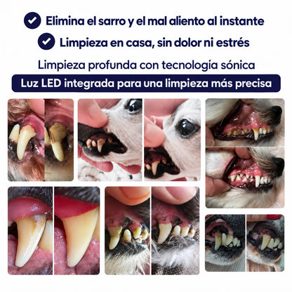 ViresClean™ - Elimina el sarro endurecido de tu perro desde casa