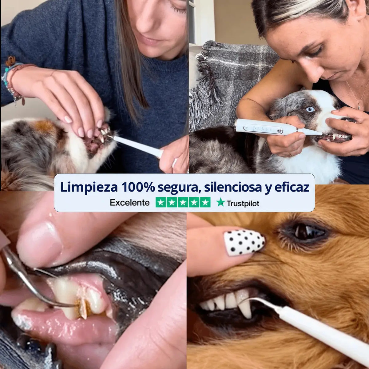 ViresClean™ - Elimina el sarro endurecido de tu perro desde casa