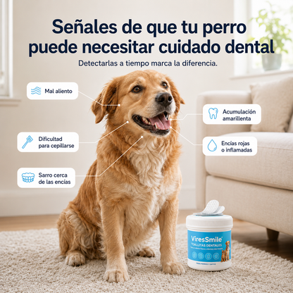 ViresSmile™ – Limpieza Dental Sin Cepillo