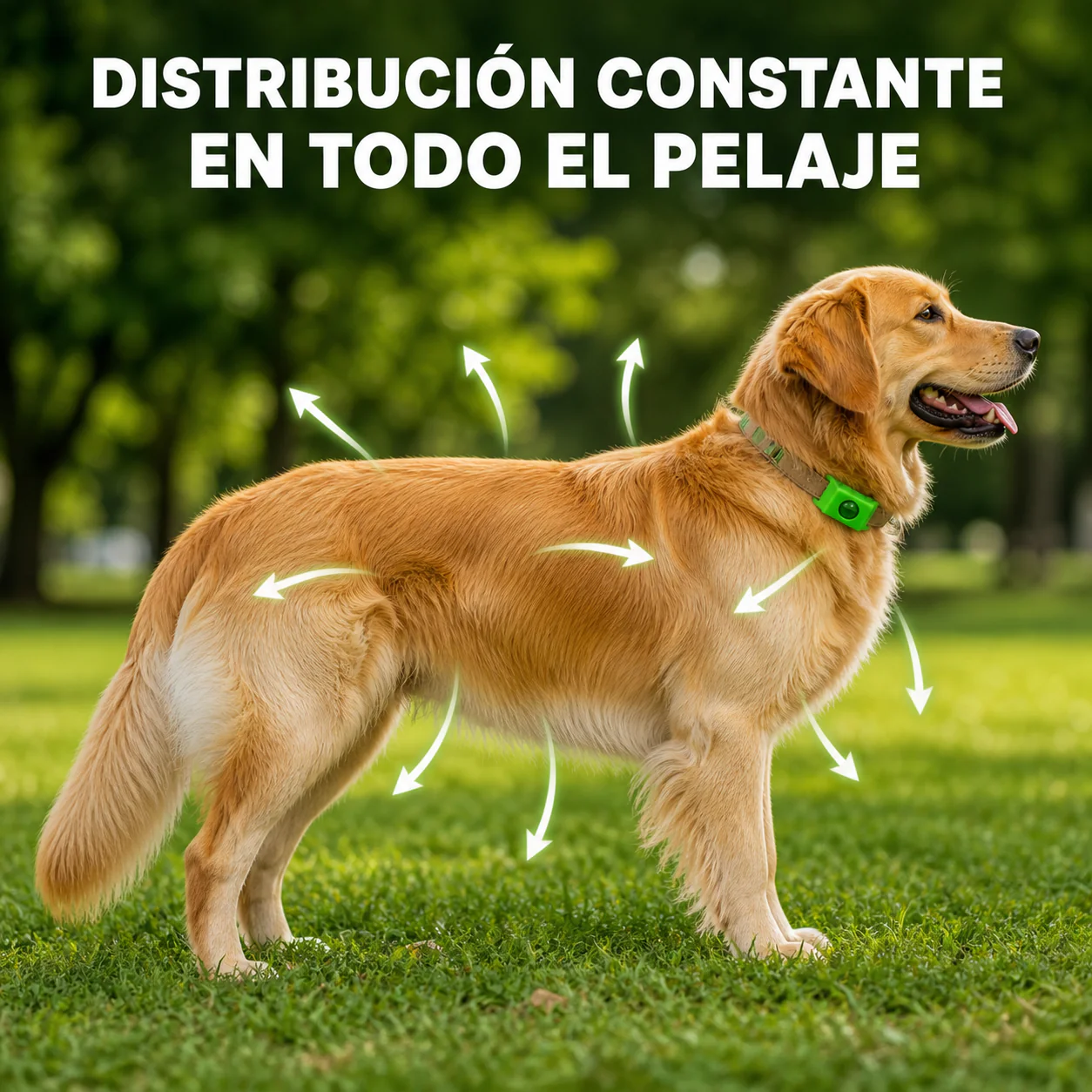PetShield - 12 meses libre de pulgas y garrapatas